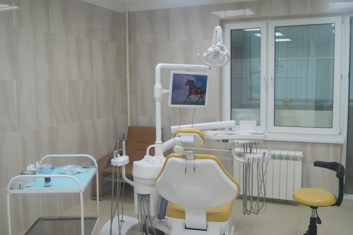 Стоматология Artemida Dental Clinic